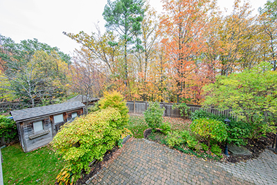 Yard cared for by West Creek tree service by Ben Bivins Tree Experts as shown from above in fall.