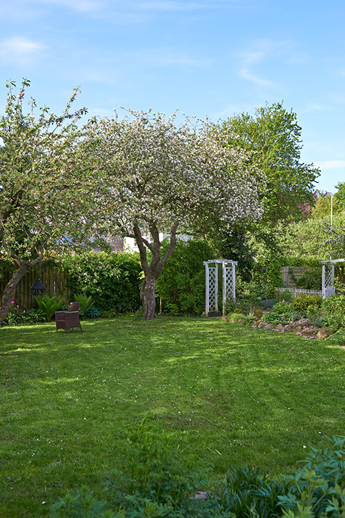 Tree service in West Creek supports a healthy yard